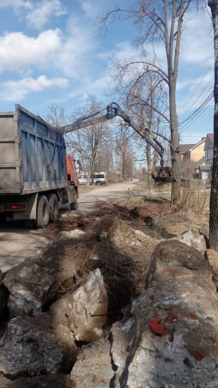 вывоз спиленных деревьев