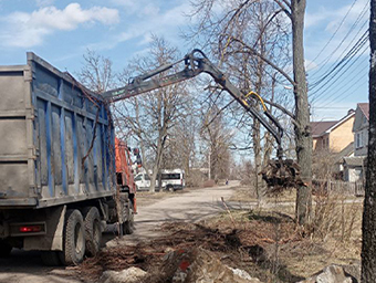 вывоз спиленных деревьев